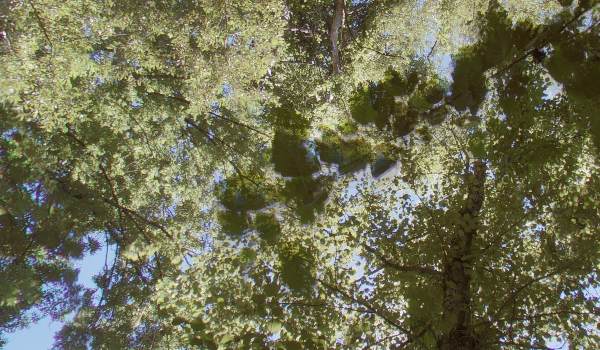 repair