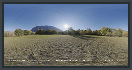 Field 1c