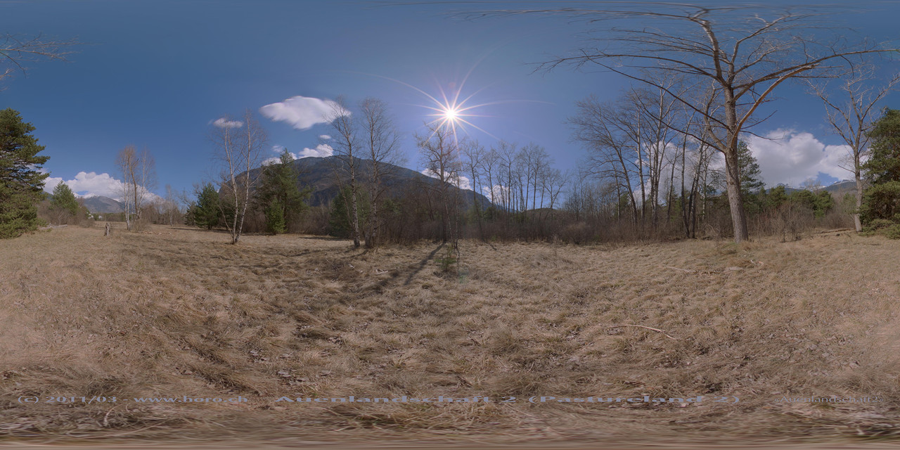 Pastureland