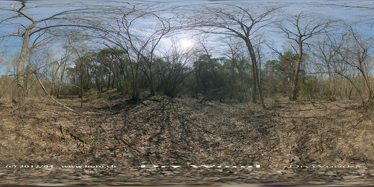 DryWood