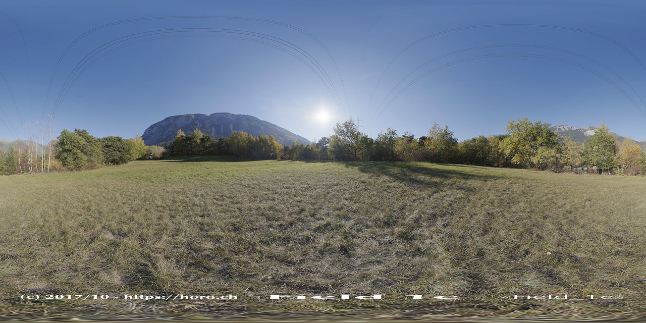 Field 1c