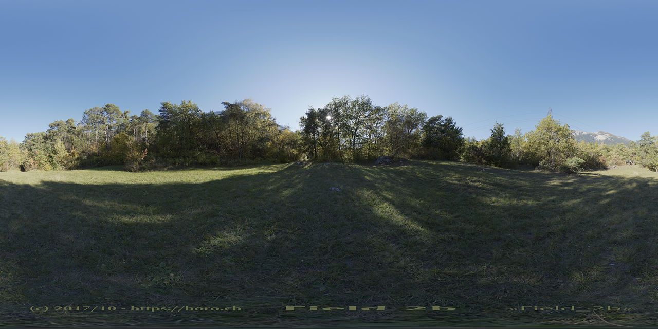 Field 2b