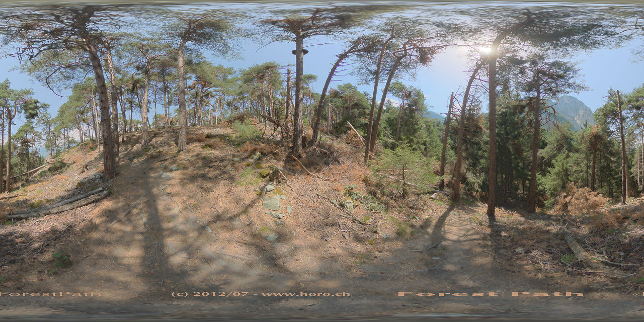 Forest Path