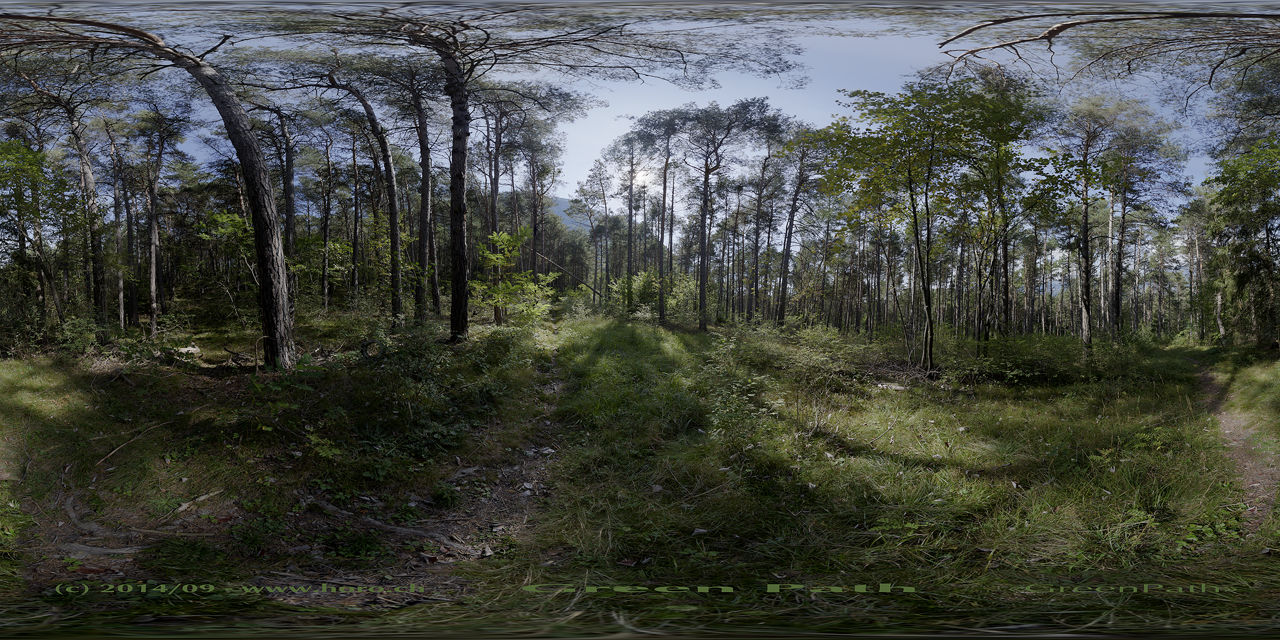 Green path