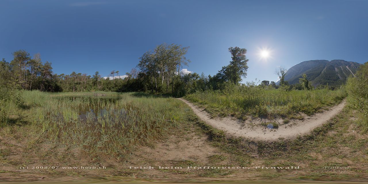 Pond
