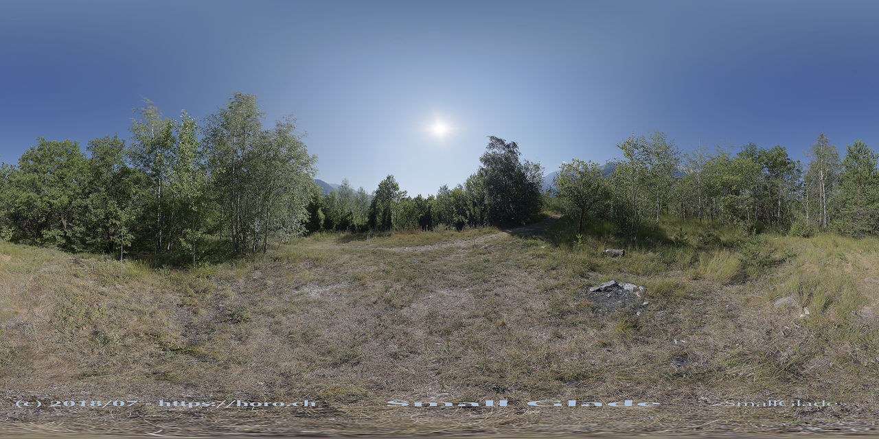 Small Glade 1