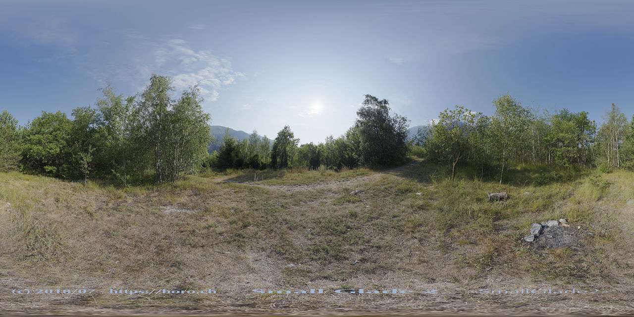 Small Glade 2