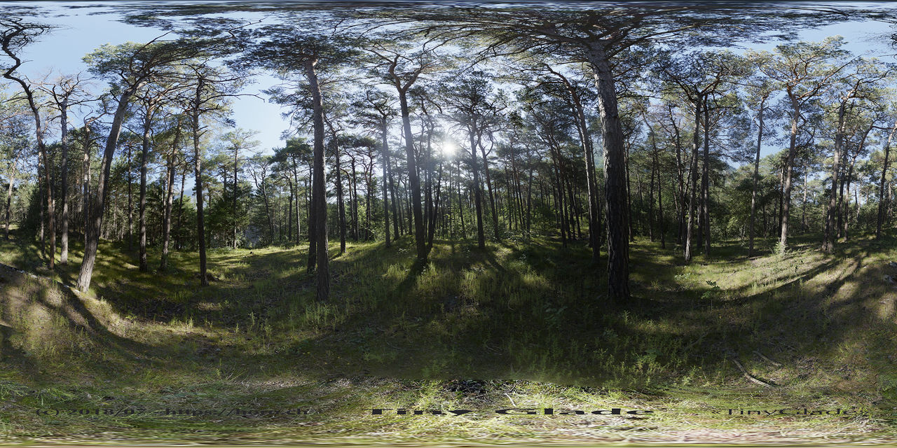 Tiny Glade