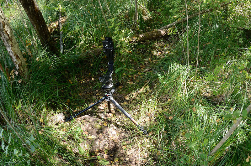 Camera Position