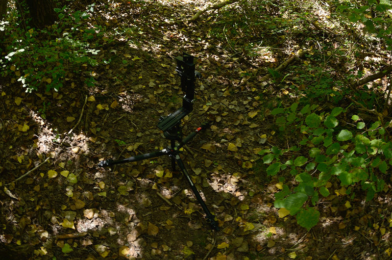 Camera Position