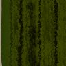 Vegetation